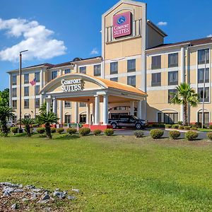 Comfort Suites Savannah Gateway I-95